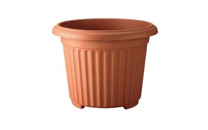 pot-4